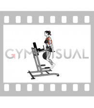 Weighted Triceps Dips (female)