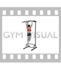 Weighted Pull-up (female)