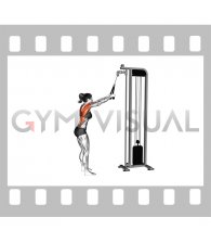 Cable Straight Arm Pulldown (with rope) (female)