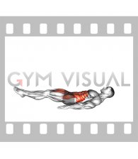 Jack knife Sit-up (male)