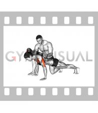 Assisted Weighted Push-up (female)