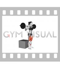 Barbell Box Squat (female)