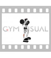 Barbell Standing Single Leg Calf Raise (female)