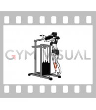 Lever Standing Single Leg Calf Raise (female)