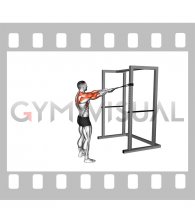 Band Standing Face Pull to Y Raise