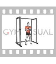 Band Horizontal Pallof Press Twist