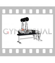 Dumbbell Lying Bench Poliquin Fly (male)
