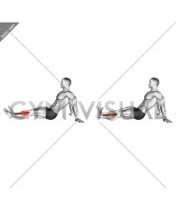 Seated Single Leg Tibialis Press (male)
