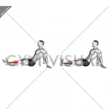 Seated Single Leg Tibialis Press (male)