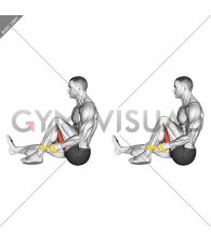 Resistance Band Seated Single Leg Hugging Knee Flexion (male)