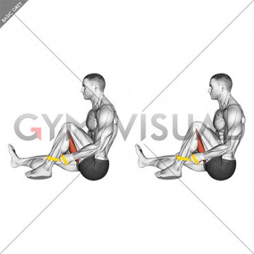 Resistance Band Seated Single Leg Hugging Knee Flexion (male)