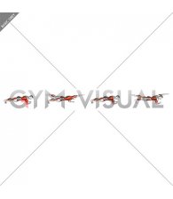 Front Plank with Arm and Leg Lift (male)