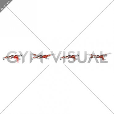 Front Plank with Arm and Leg Lift (male)