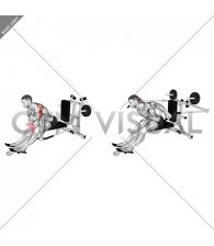 Lever Seated Bent Over Rear Delt Fly