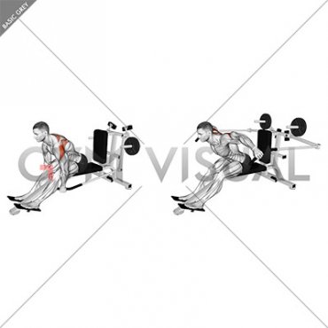 Lever Seated Bent Over Rear Delt Fly