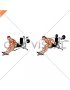 Lever Seated Bent Over Rear Delt Fly