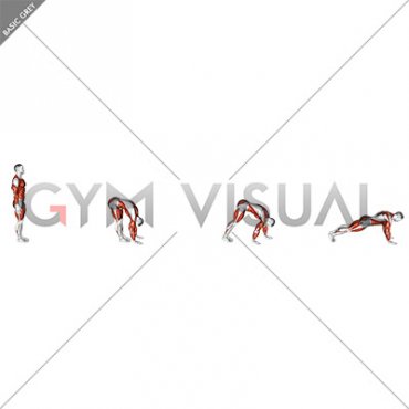 Inchworm and Mountain Climbers (Male)