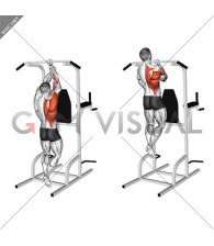 Uneven Pull-up (male)