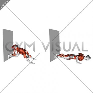 Downward Dog Push-up against Wall (male)