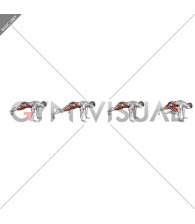 Double Plank Jack to 4 Mountain Climber (male)