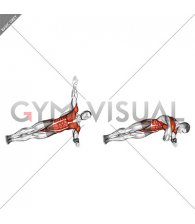 Side Plank Twist Arm Delt Raise (male)