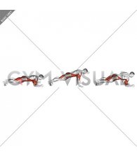 Explosive Dynamic Plank (male)