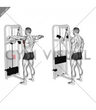 Lever Standing Pec Fly (male)