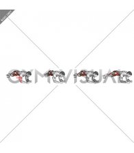 Plank Side Jump (male)