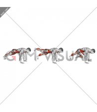 Plank Leg Lift Mountain Climber (male)