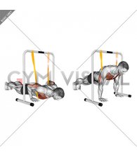 Resistance Band Explosive Push-up (male)