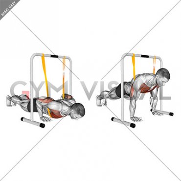 Resistance Band Explosive Push-up (male)