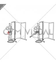Band Standing on Bosu Ball Single Leg Abduction (male)
