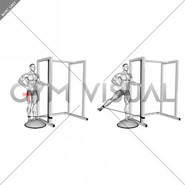 Band Standing on Bosu Ball Single Leg Abduction (male)