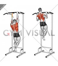 Resistance Band Assisted Single Arm Pull-up (male)