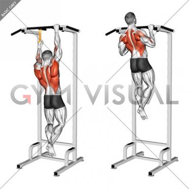 Resistance Band Assisted Single Arm Pull-up (male)