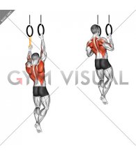 Ring Resistance Band Assisted Single Arm Pull-up (male)