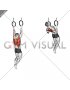 Ring Rocky Pull-up Pulldown