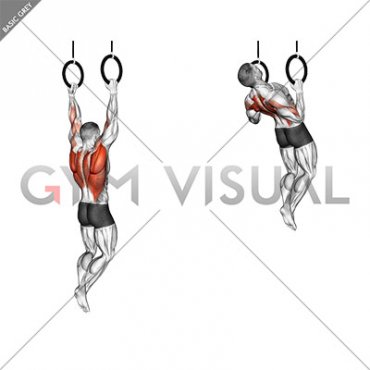 Ring Rocky Pull-up Pulldown
