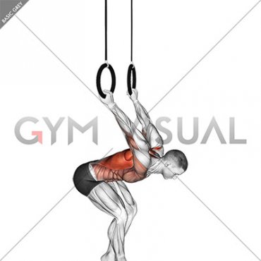 Ring Skin the Cat (male)