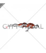 Elbow Planche (male)