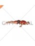 Elbow Planche (male)