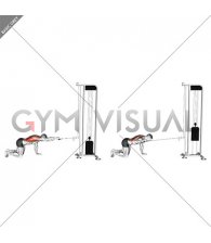 Cable Kneeling Single Arm Horizontal Row (male)