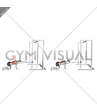 Band Kneeling Single Arm Horizontal Row (male)