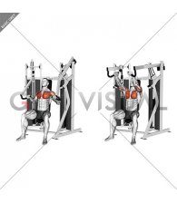 Lever Stack Seated Incline Chest Press (male)