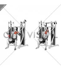 Lever Stack Seated Incline Single Arm Chest Press (male)