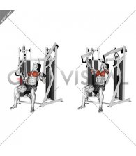 Lever Stack Seated Chest Press (male)