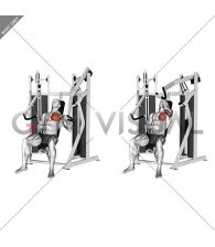 Lever Stack Seated Single Arm Chest Press (male)