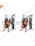 Lever Stack Seated Single Arm Chest Press (male)