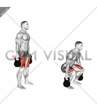 Kettlebell Squat (male)