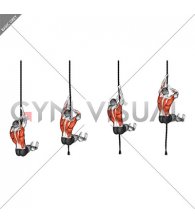 L-Sit Rope Climb (male)